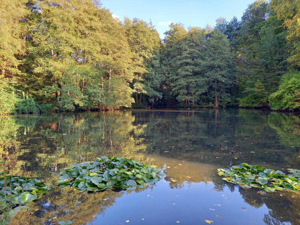 Ferienwohnung Am Waldsee Mit Schwimmbad Gernsbach Exterior photo